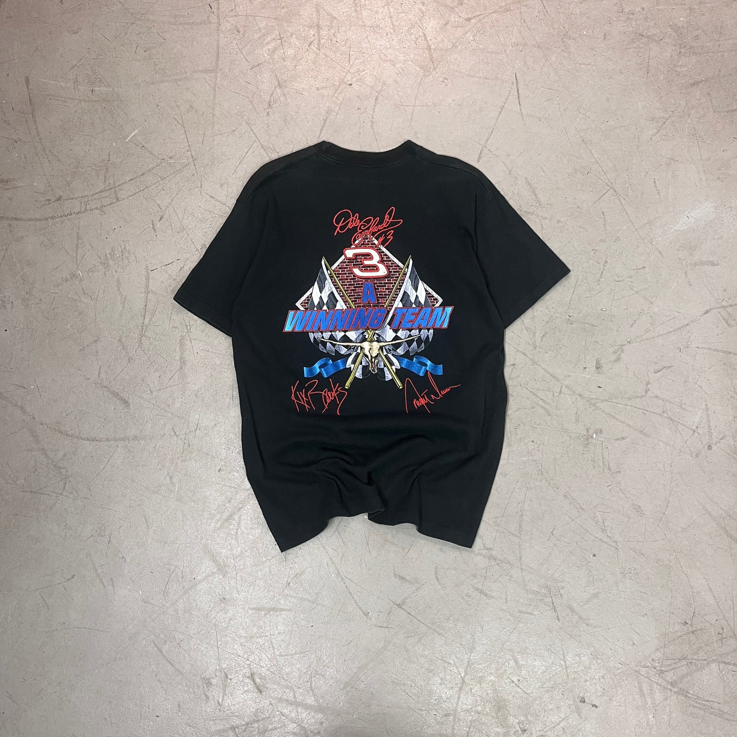 DALE EARNHARDT // BROOKS // DUNN SUNDAY MONEY 90s [L]