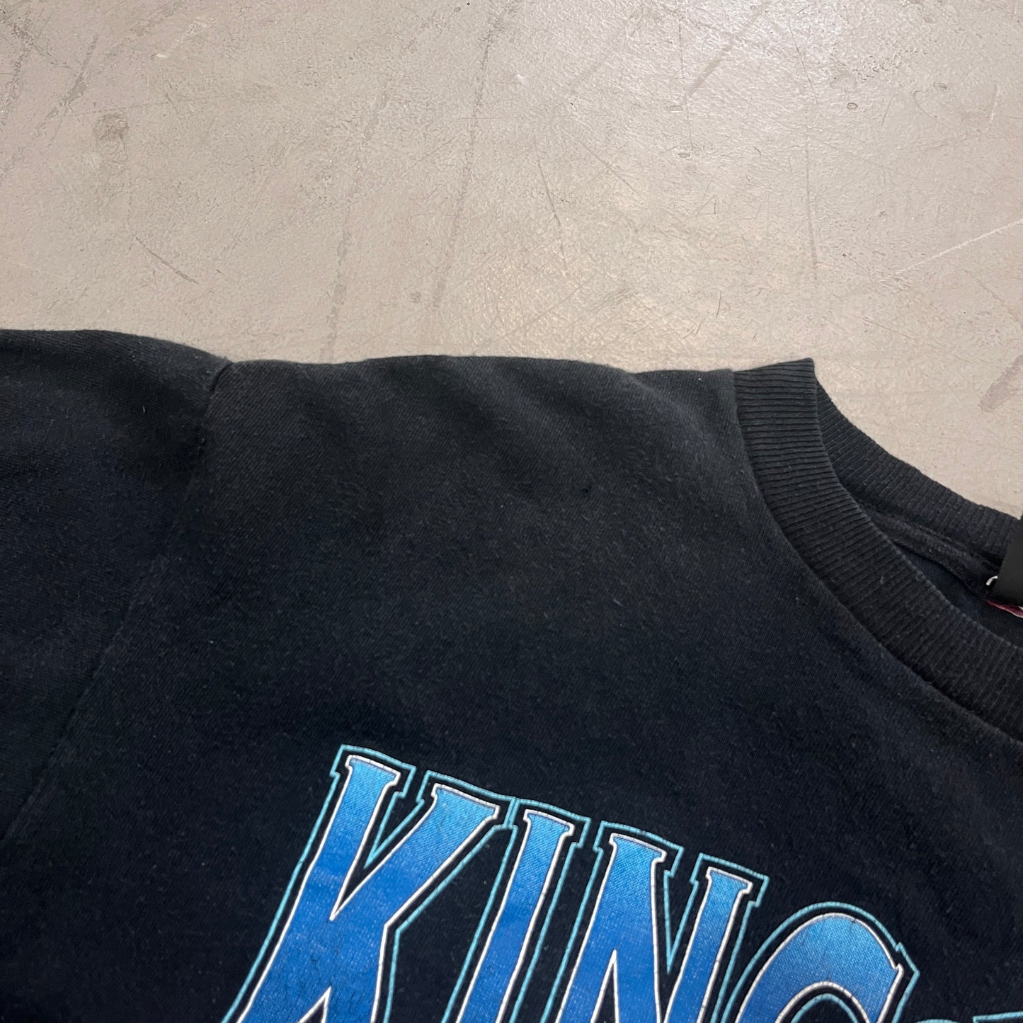 HARLEY DAVIDSON LOONEY TUNES WILE.E COYOTE 1995 [M]