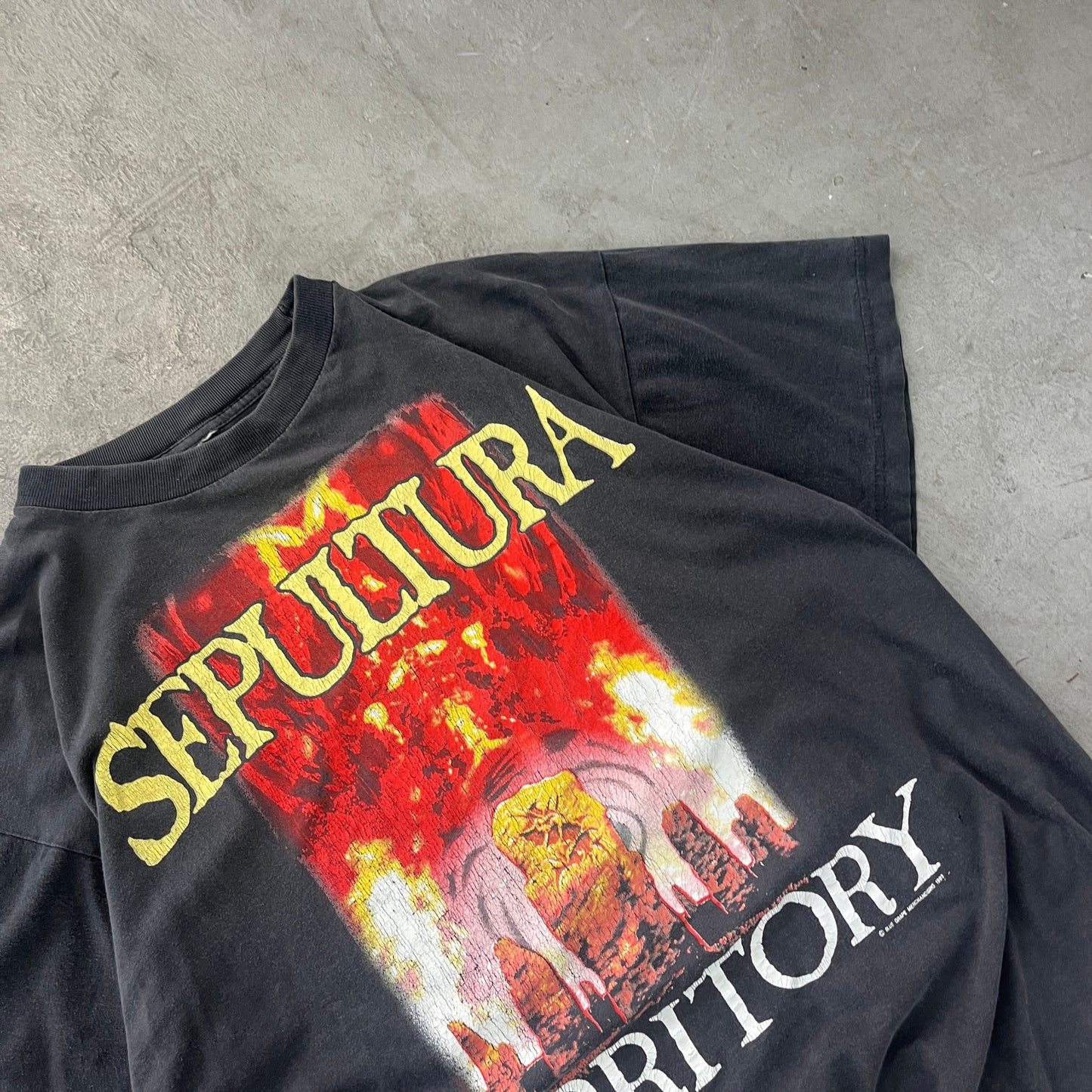 SEPULTURA WAR FOR TERRIOTORY 1993 [L]