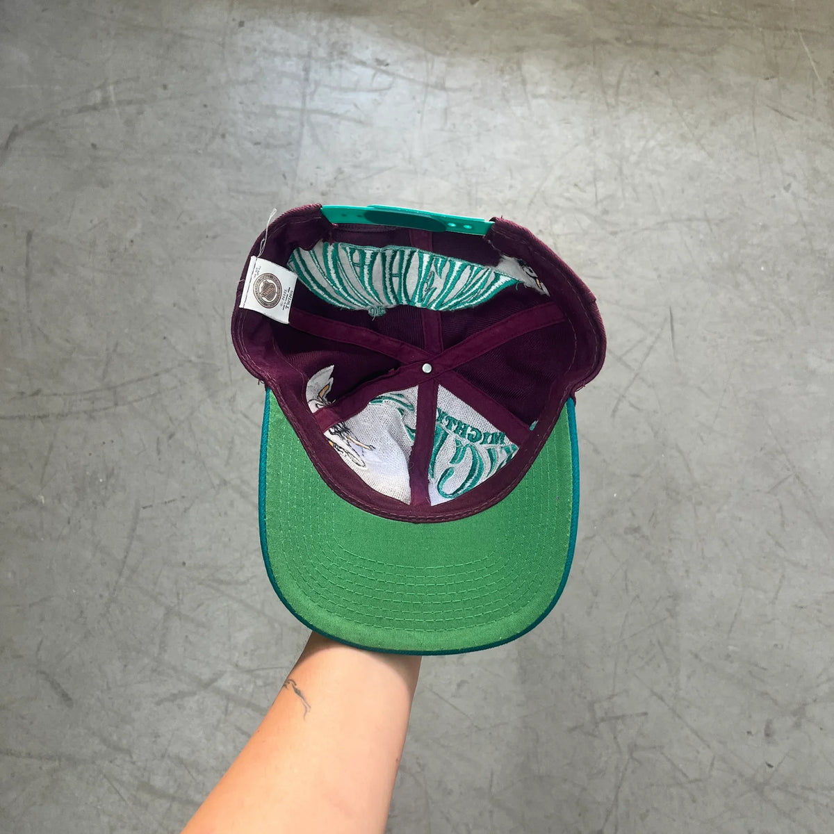 MIGHTY DUCKS NHL 90s