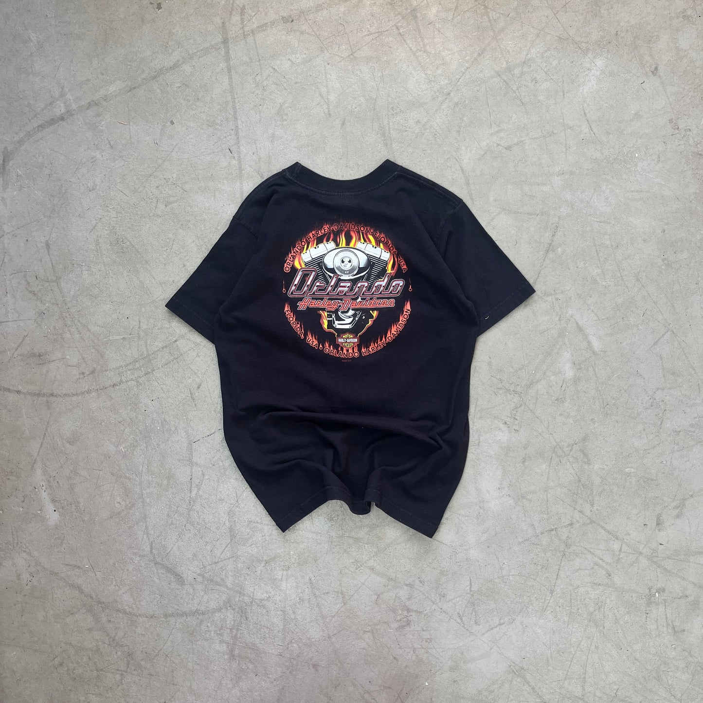 HARLEY DAVIDSON 2001 [M]