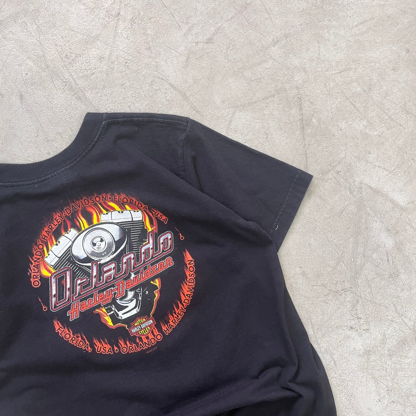 HARLEY DAVIDSON 2001 [M]
