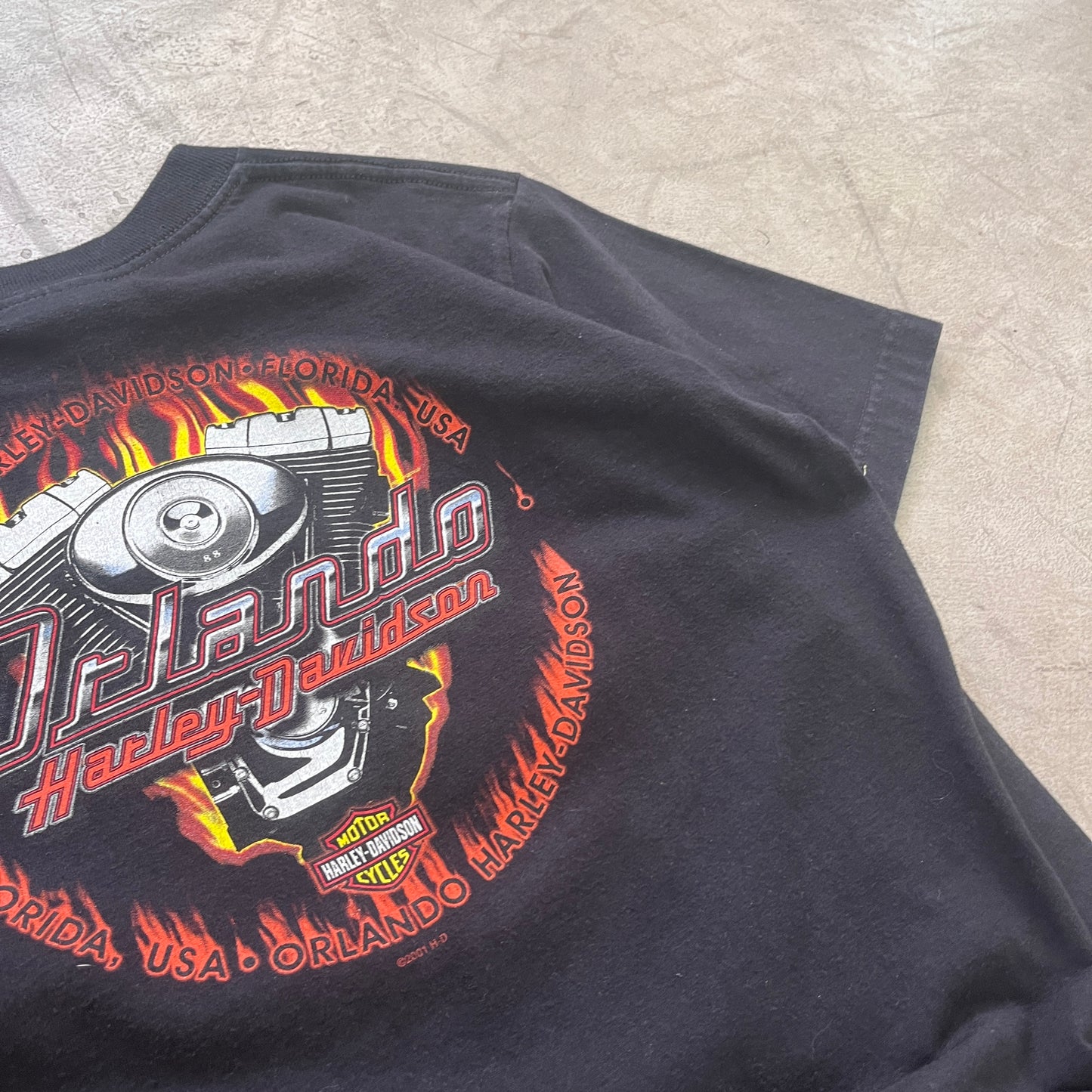 HARLEY DAVIDSON 2001 [M]