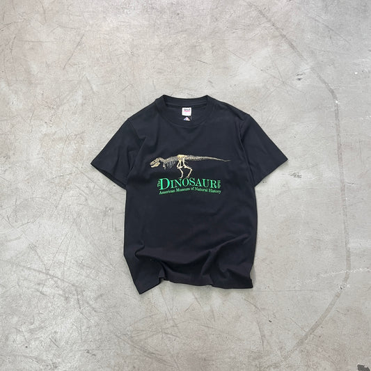 THE DINOSAUR HALLS MUSEUM 95 [S]