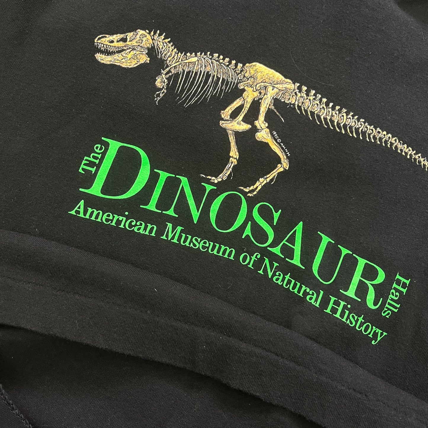 THE DINOSAUR HALLS MUSEUM 95 [S]