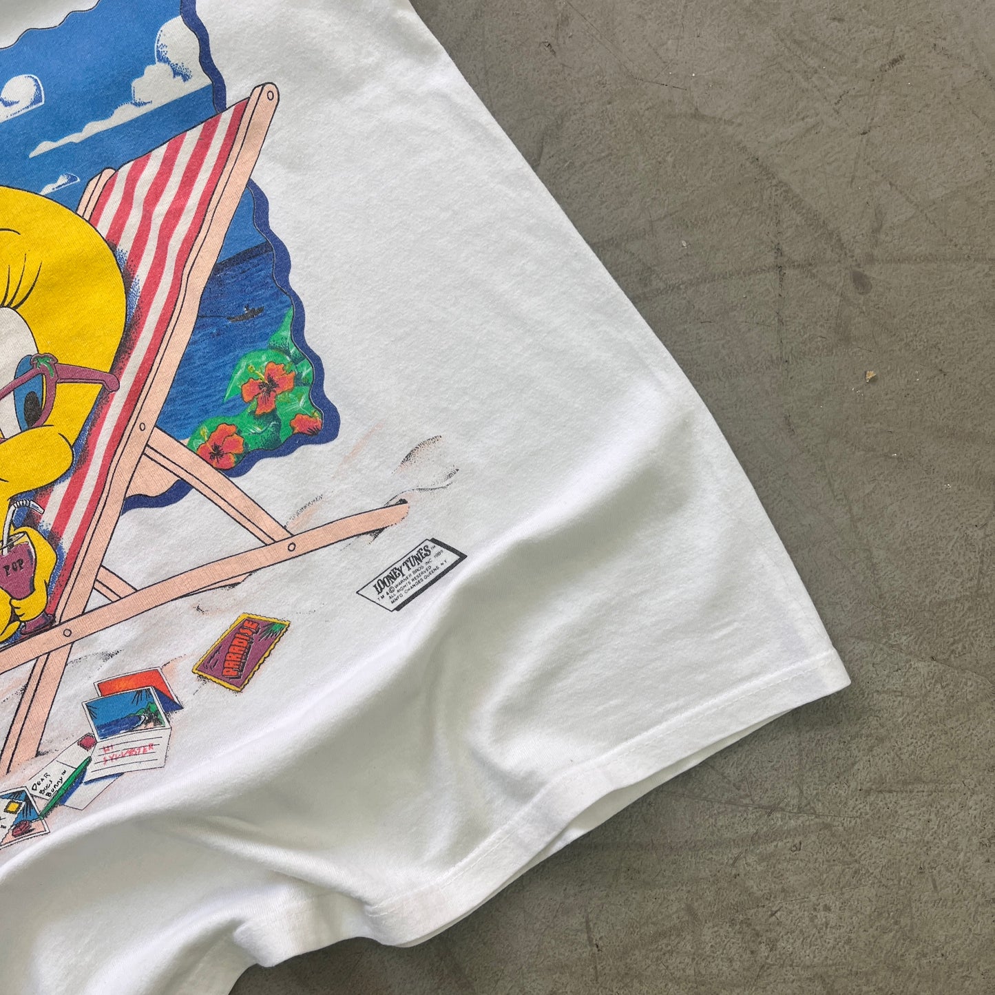 LOONEY TUNES TWEETY PIE ON VACCAY 1989 [M/L]