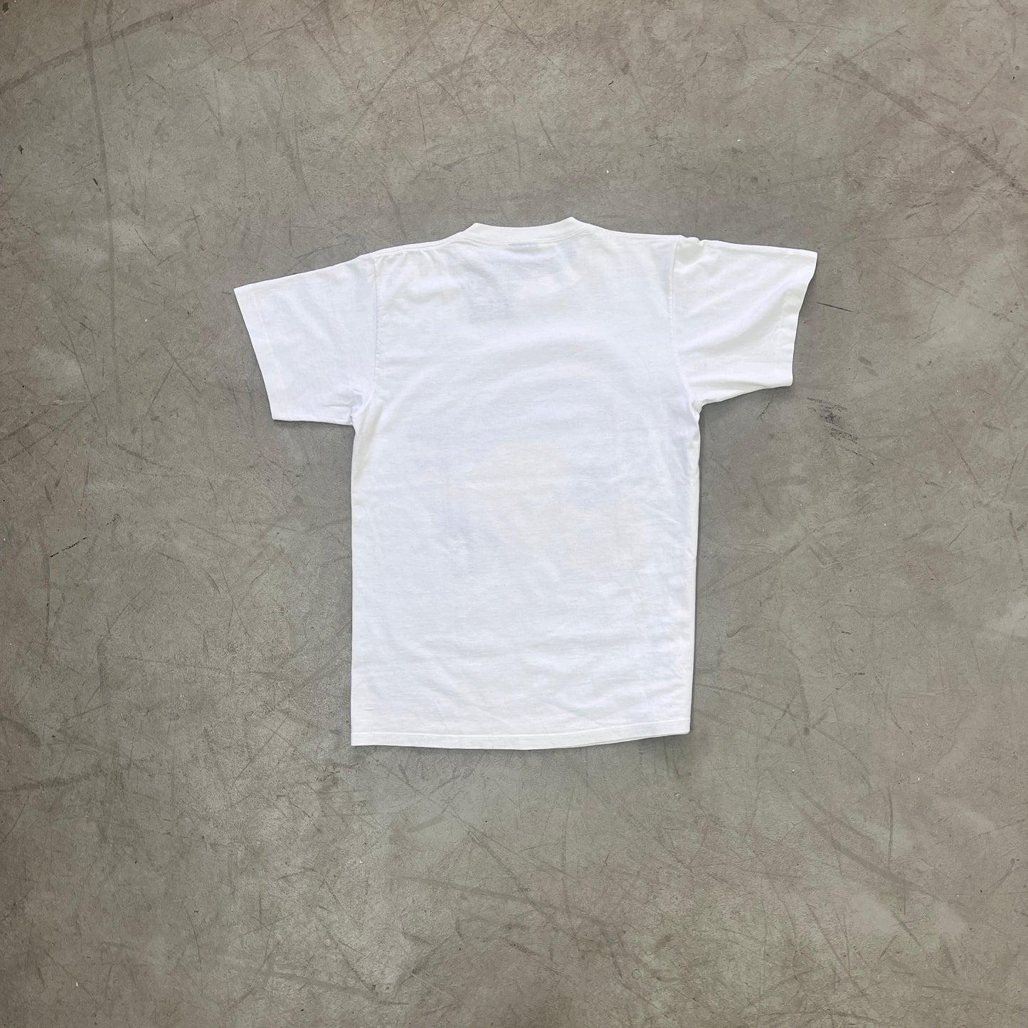 LOONEY TUNES TWEETY PIE ON VACCAY 1989 [M/L]