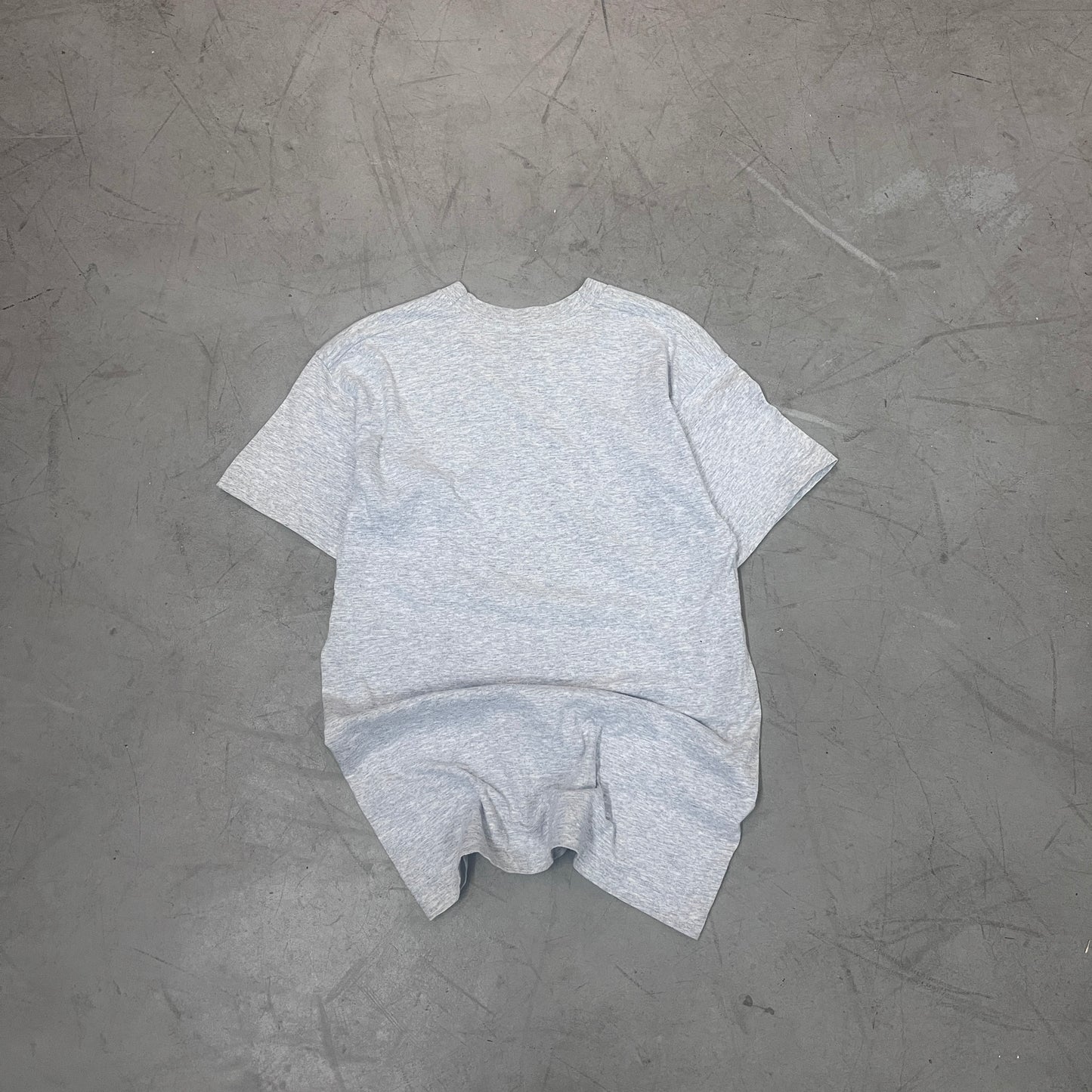 STEINER BROTHERS WCW 90s [M]