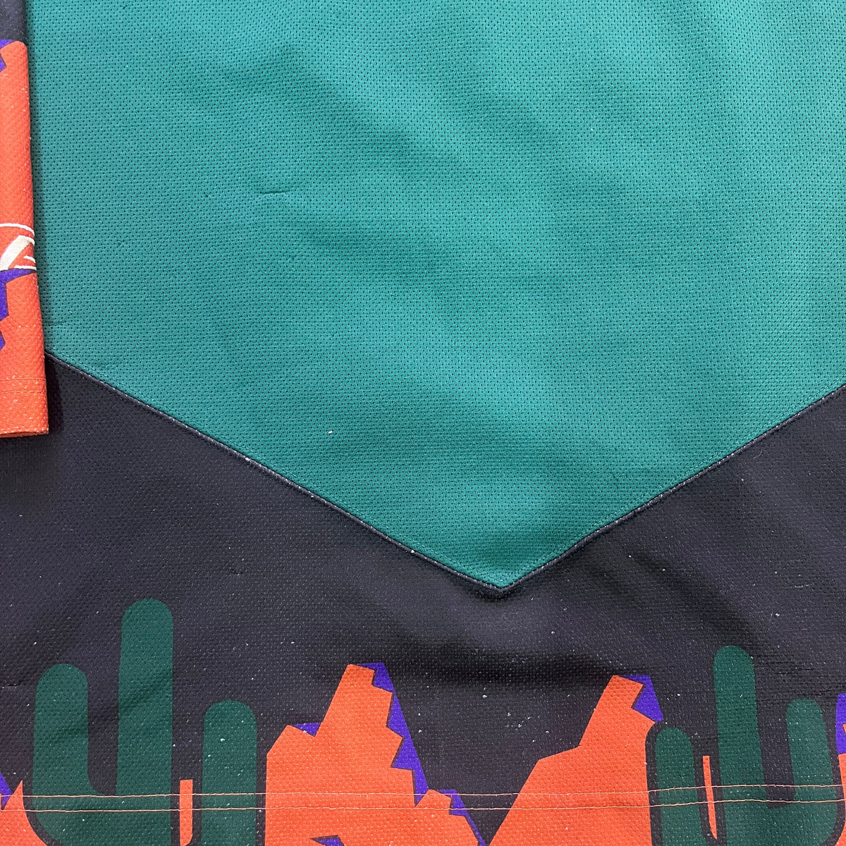 PRO PLAYER ARIZONA PHOENIX COYOTES RARE 90s [XL]