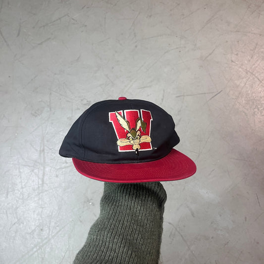 LOONEY TUNES WILE E. COYOTE 90s